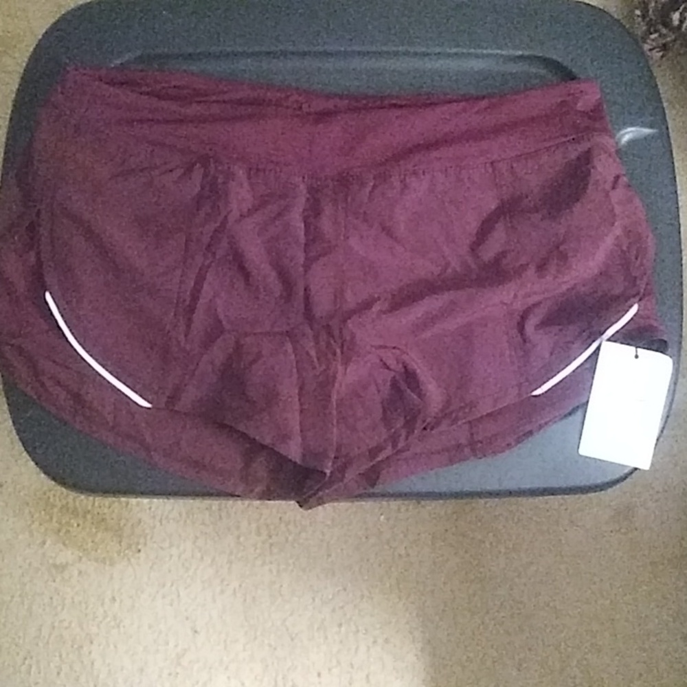 Zyia Mesh Energy Shorts